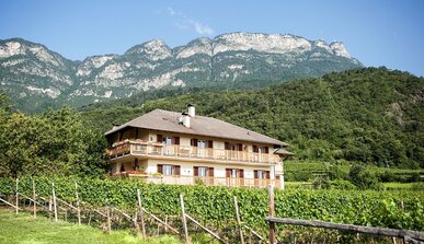 Bioweinhof Tröpfltalhof
