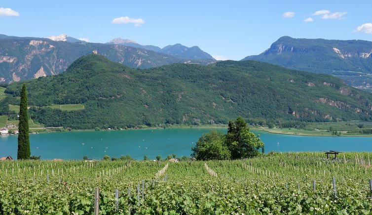 Sommer Saison Kalterer See RS kalterersee von barleit weg aus gesehen